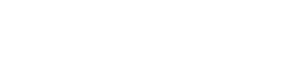 TOTAL CAR MAITE Aggressive IC